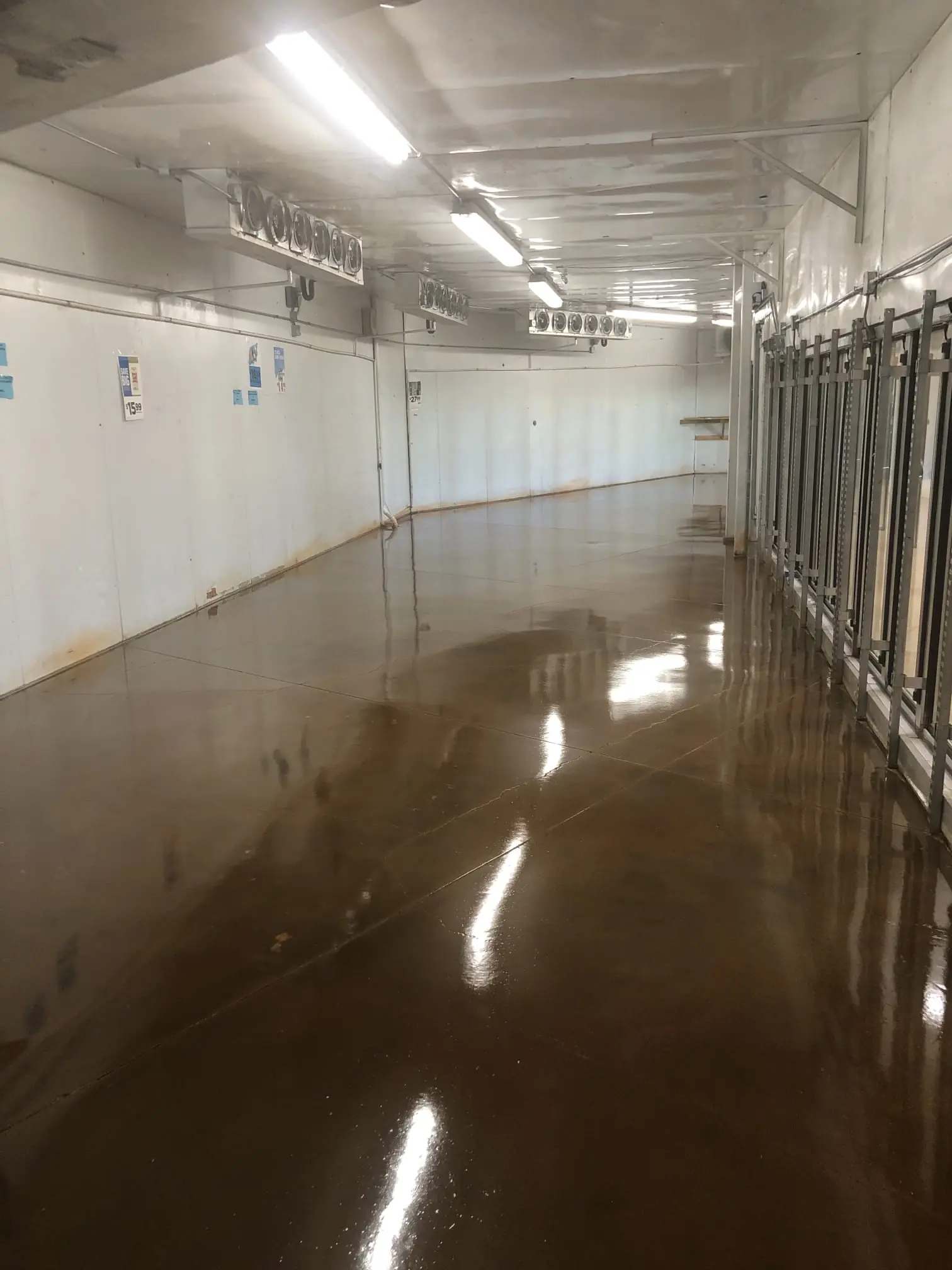 Epoxy floor coating for commercial kitchen in Colorado